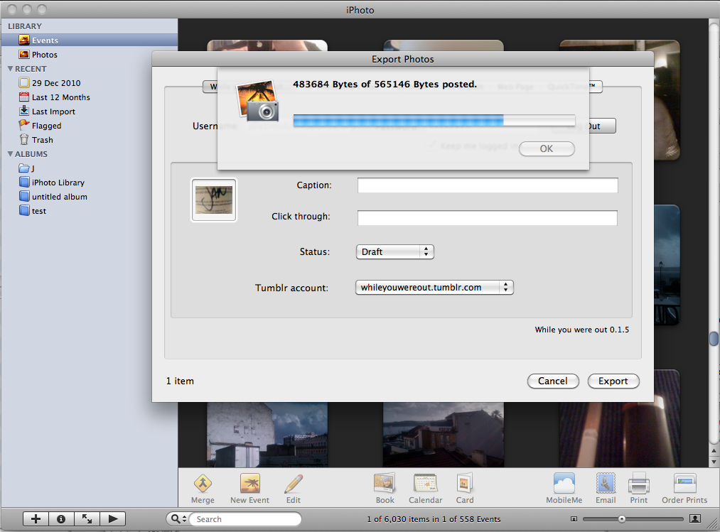 while you were out - iPhoto tumblr plugin